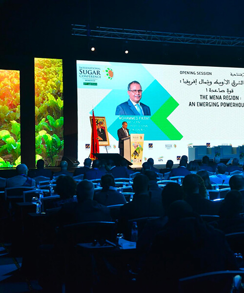 Expertise en affichage digital